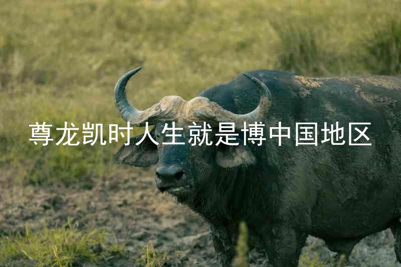 尊龙凯时人生就是博中国地区