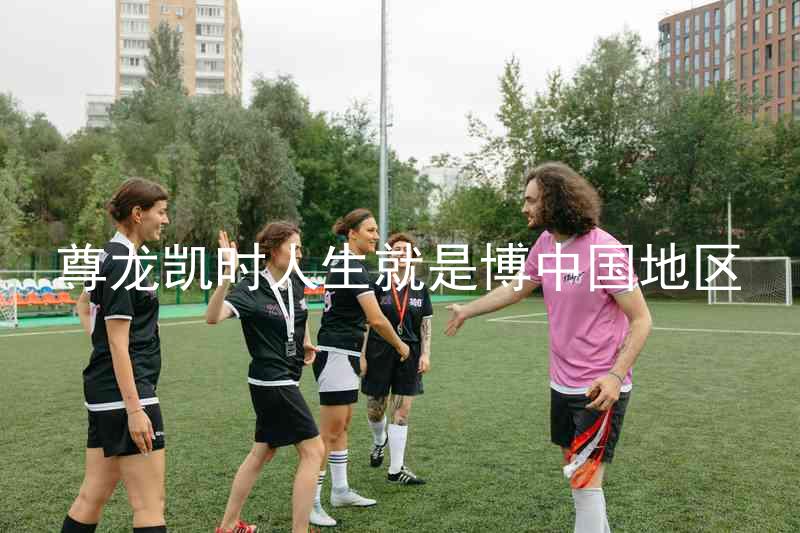 尊龙凯时人生就是博中国地区
